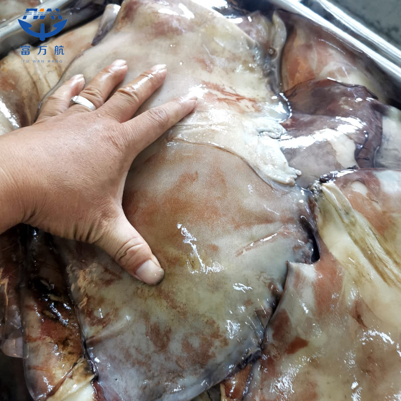 Hot Sale BQF Giant Peru Squid Wing