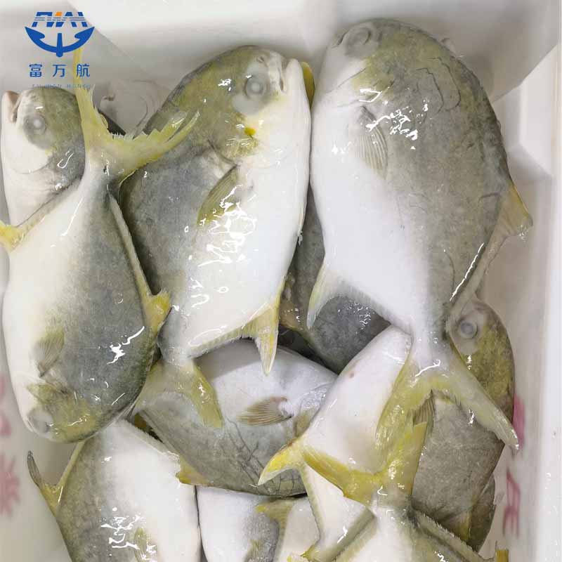 Frozen Fish Golden Pomfret Seafood