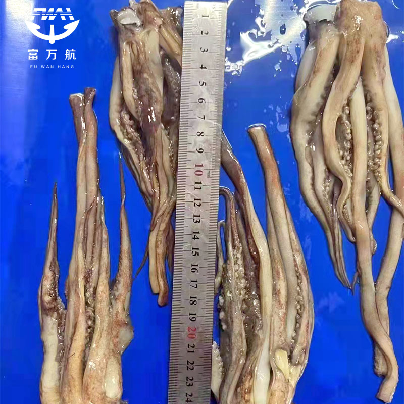 frozen squid head