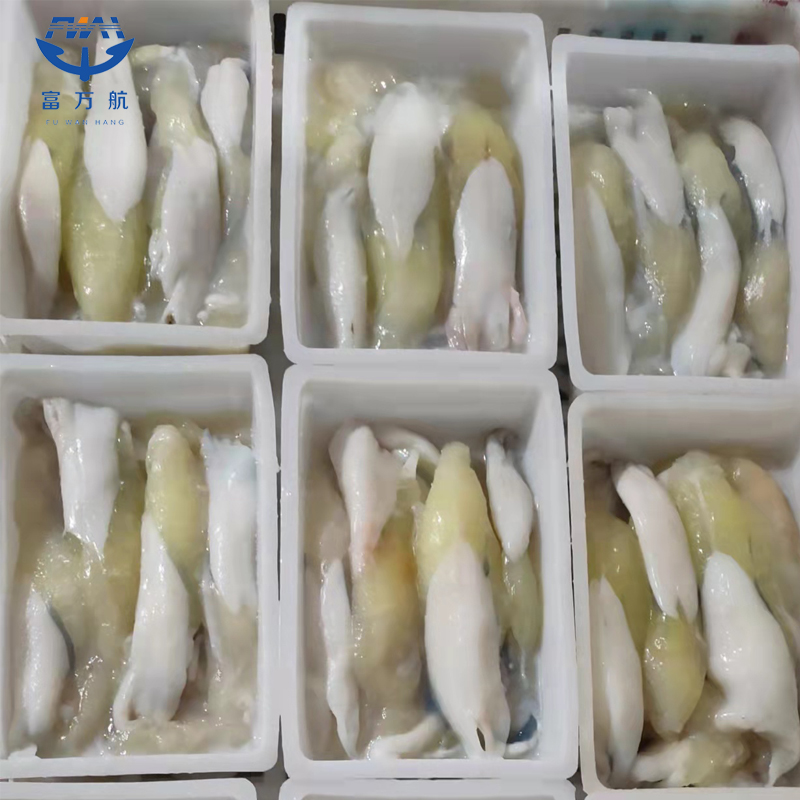 Frozen illex squid eggs BQF