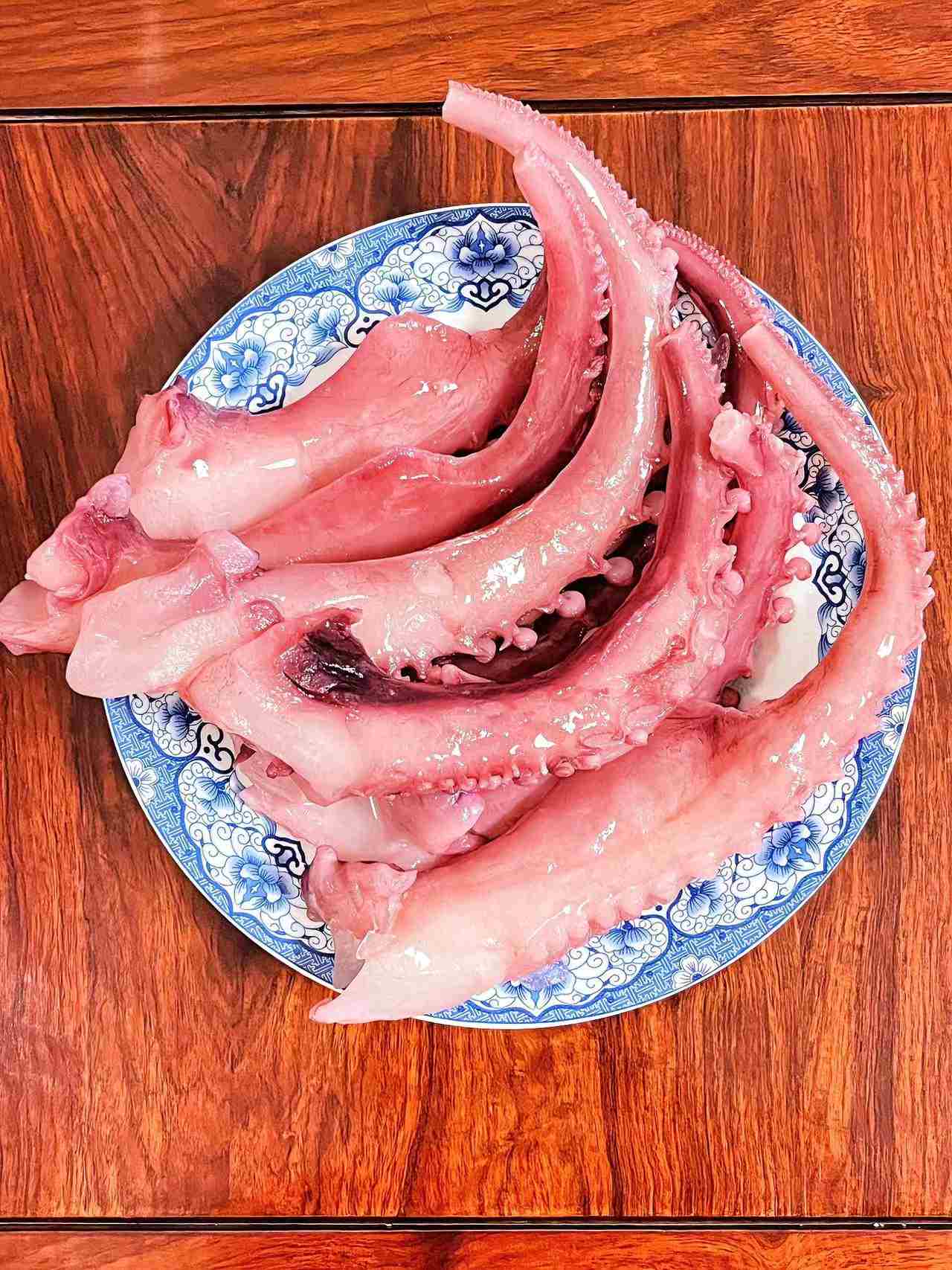 squid tentacle segments