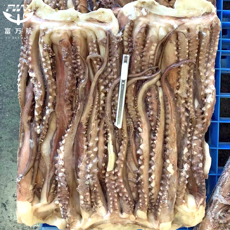 Squid tentacle