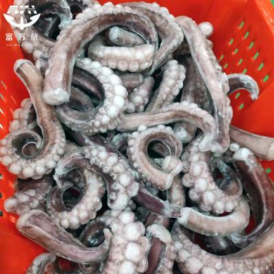 China Tentacle With Head, Tentacle With Head Wholesale, Manufacturers,  Price