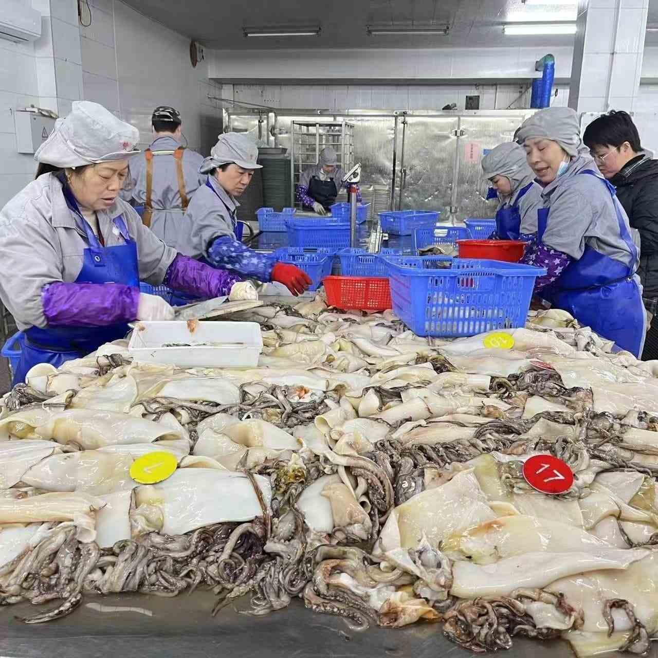 Seafood manufacturer factory real shot!